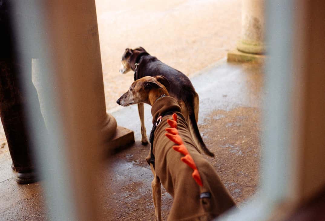 47D6A749 C6EB 4CE2 A7B8 C7F321F2A934 1 105 c