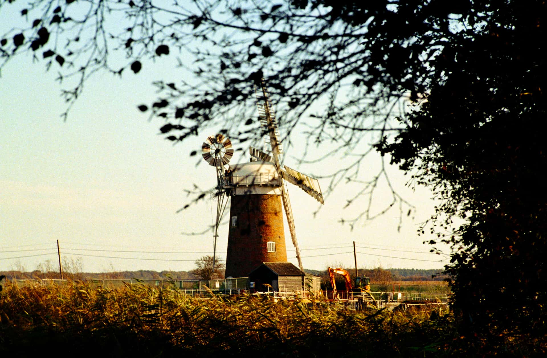 6A3D5A01 B5F4 4693 8A03 850C4F95D007 1 201 a