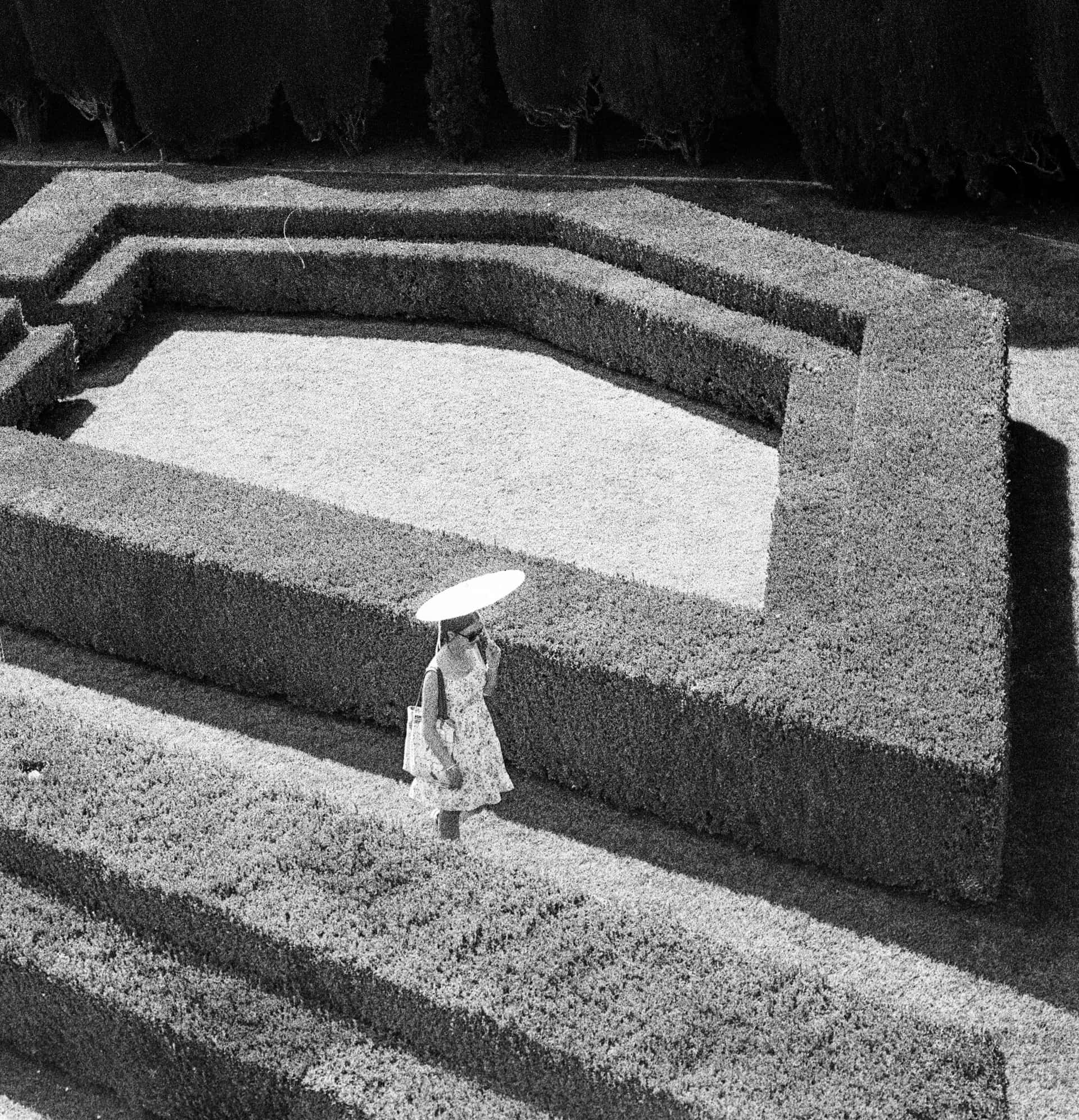 00D8A4DE 3BAC 499A A687 195A3AE6CB3B 1 201 a