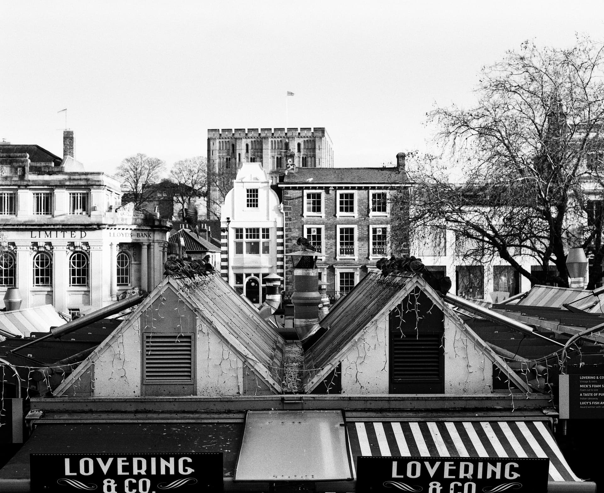 Film photograph