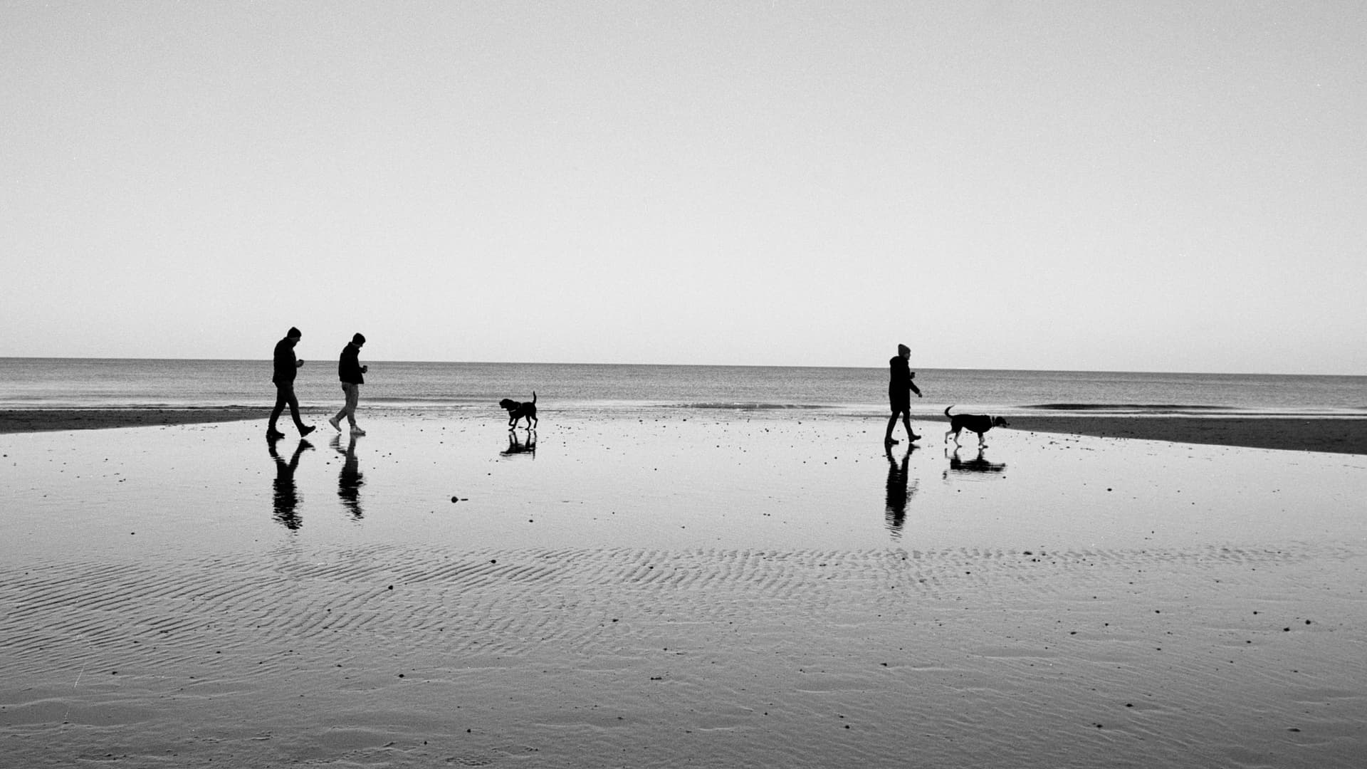 Ilford XP2 400 BW 211225 (9) gamma 1 instagram