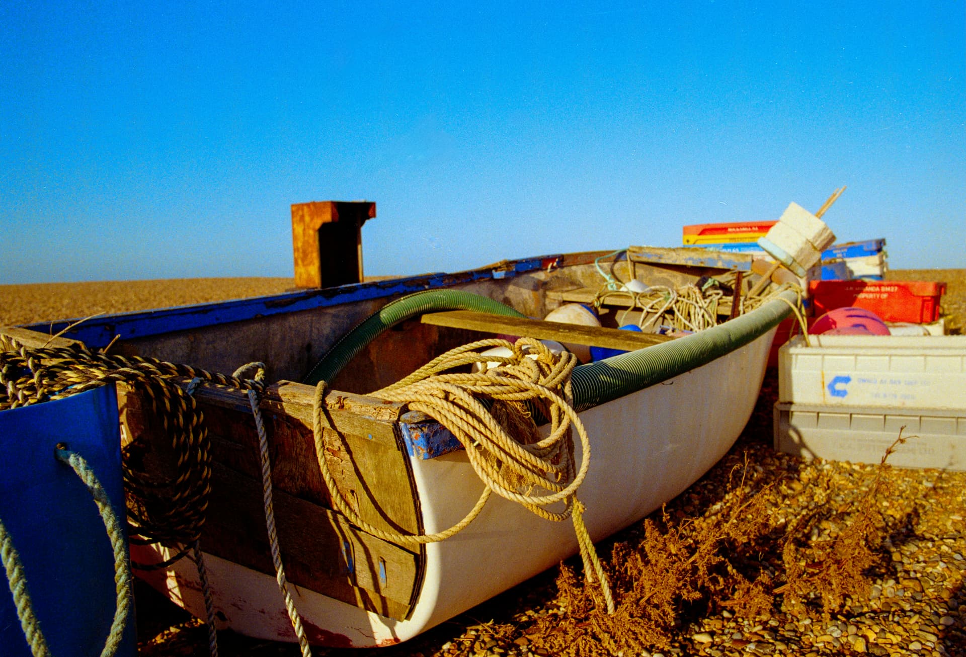 Gold 200 221225 (10) gamma 1 instagram