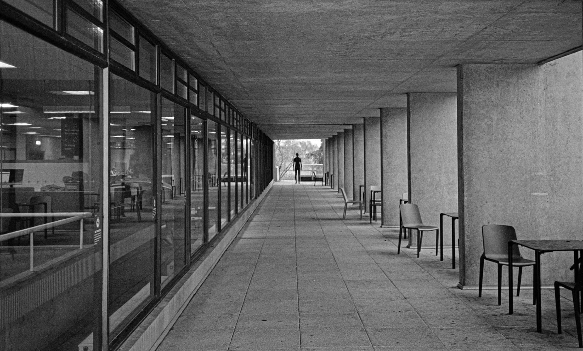 Film photograph