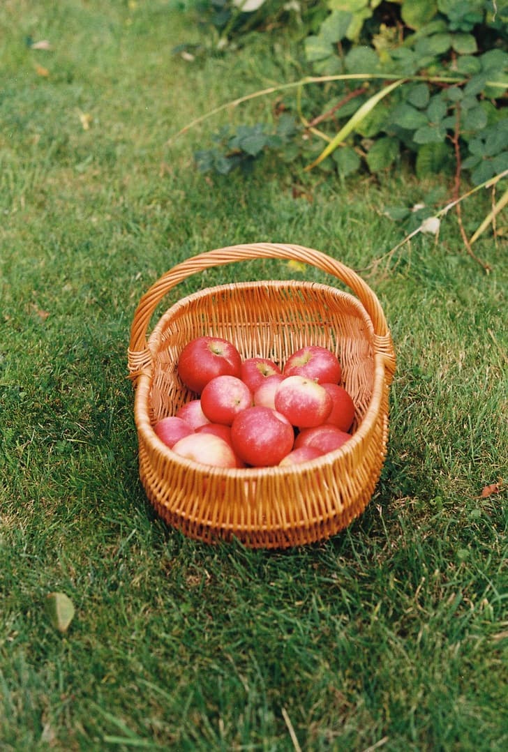Film photograph