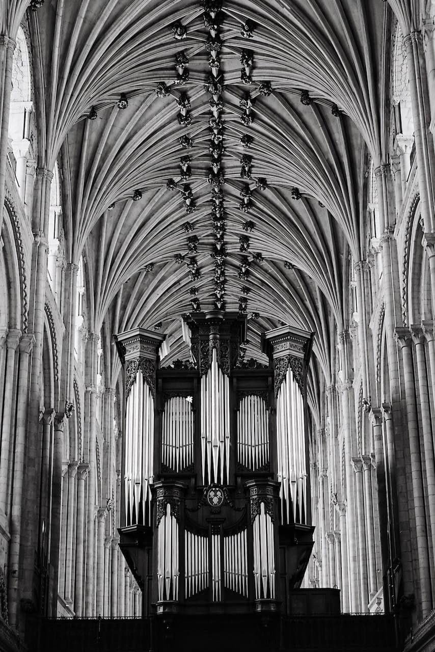 Cathedral organ pipes beneath a fan-vaulted ceiling