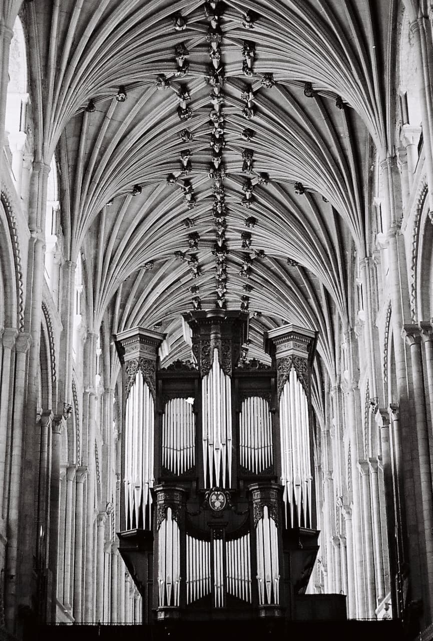 Cathedral organ and fan-vaulted ceiling in black and white